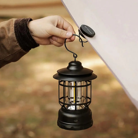 Magnetic Canopy Hooks with Suction Cups